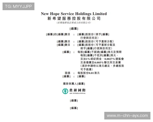 “胡利安·门德斯：阿根廷美洲狮队的新希望，未来依赖他的进攻”