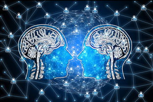 爱游戏入口-篮球专项技能动作视频资源开发及多媒体教学，篮球动作技术