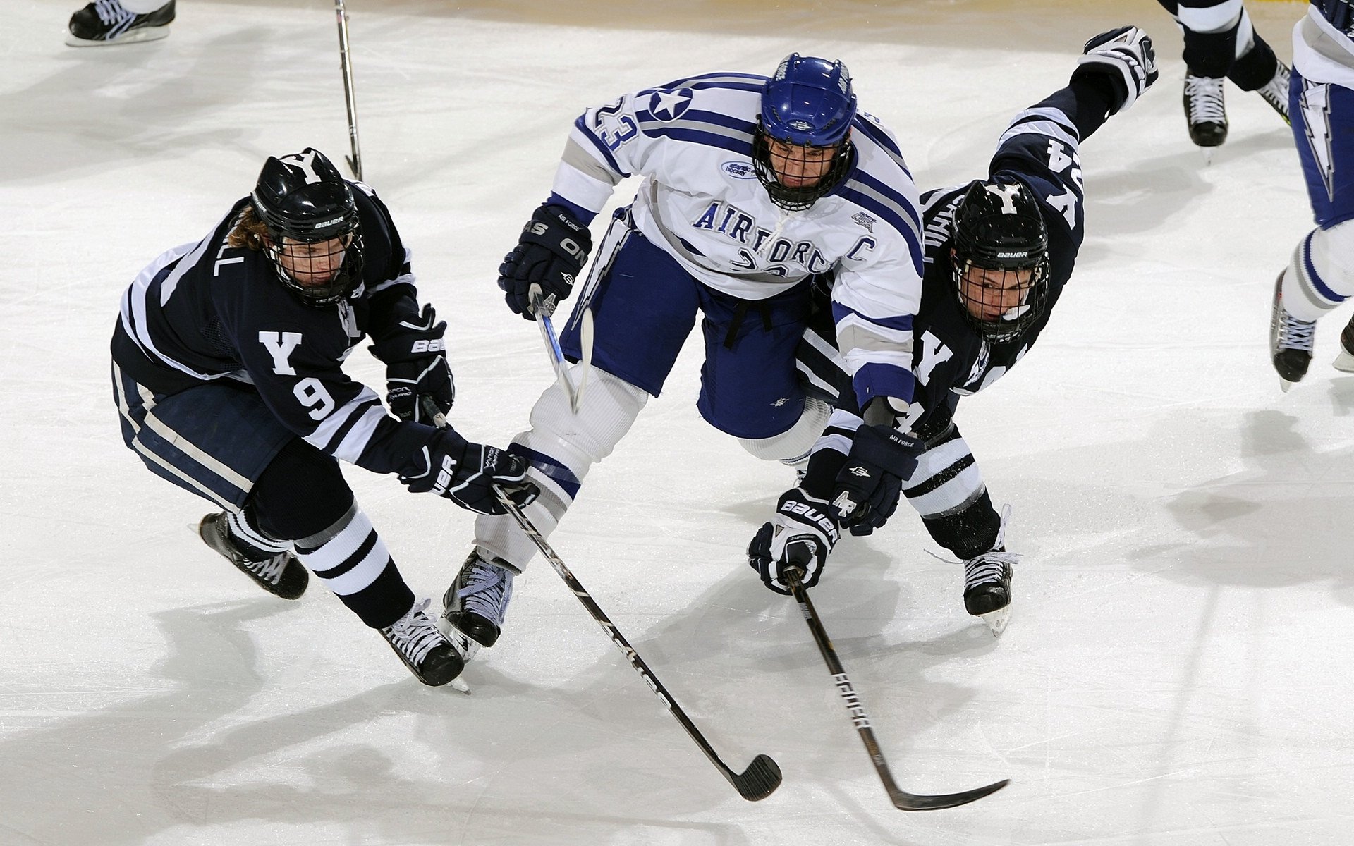 “福乐球决战开启,新都香城体育中心见证精彩”