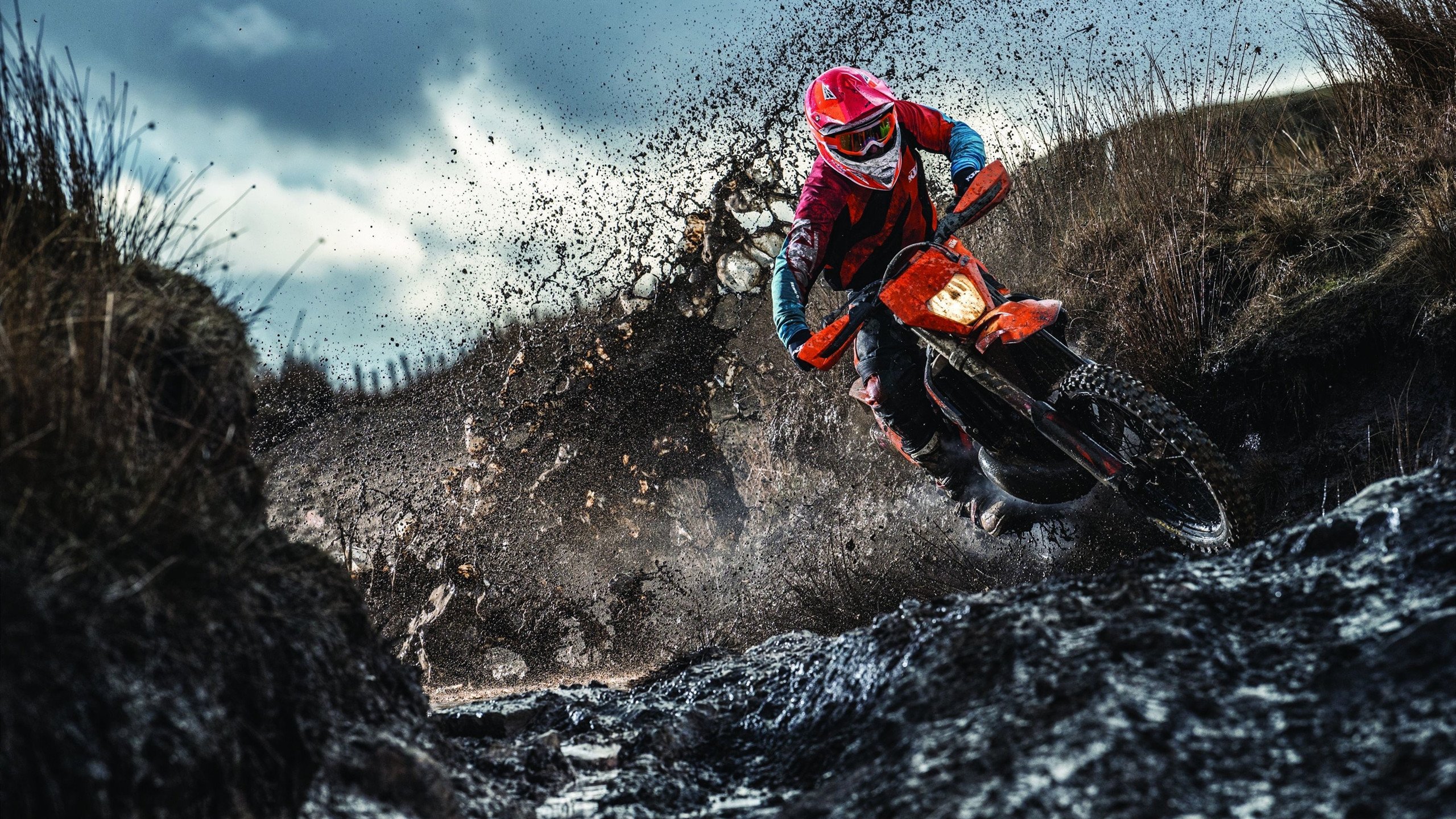 保利娜·普费夫跳台决赛精彩瞬间回顾